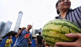 朝阳群众爆料吃瓜网最新,吃瓜网最新热点事件揭秘