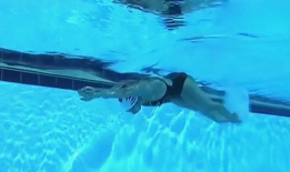 蝶泳视频,跟随视频学蝶泳